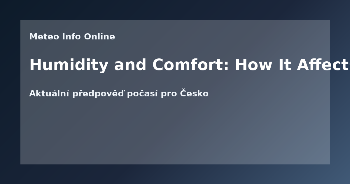 Humidity and Comfort: How It Affects Your Body