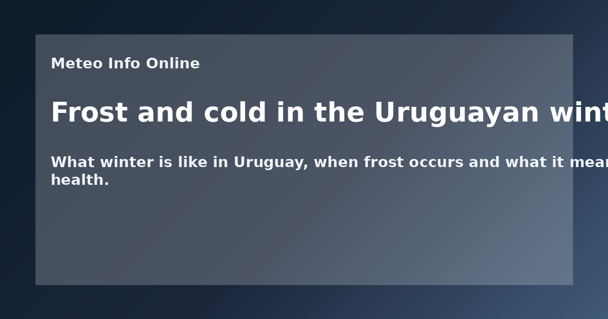 Frost and cold in the Uruguayan winter